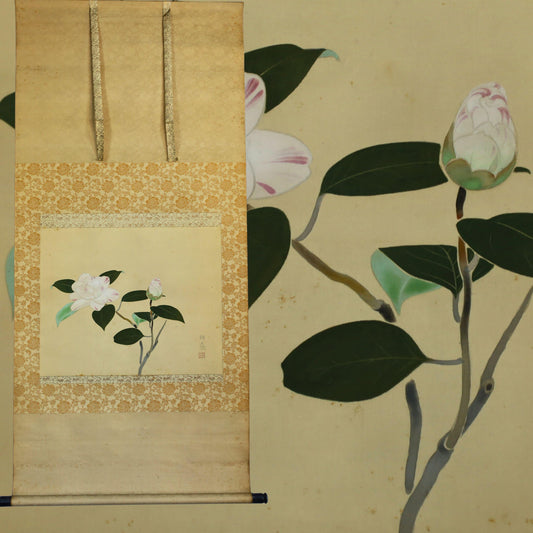 Japanese Hanging Scroll - Vintage Nihonga Watercolor Painting of White Peony Artwork