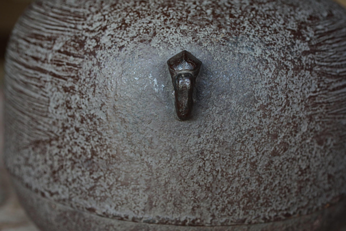 a close-up view of a textured, weathered surface with a small, dark object, possibly a metal piece, attached to it.