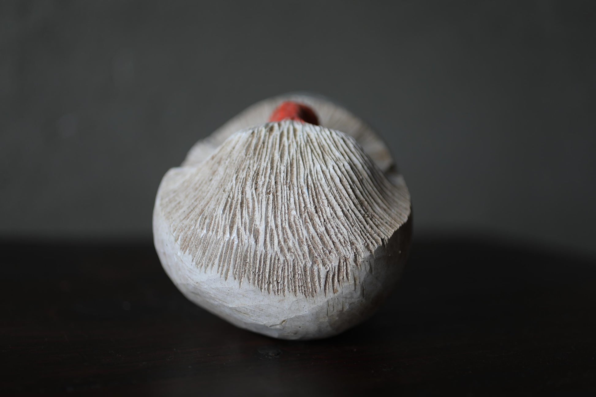 A close-up image of a white, textured object with a red dot on top, placed on a dark surface.