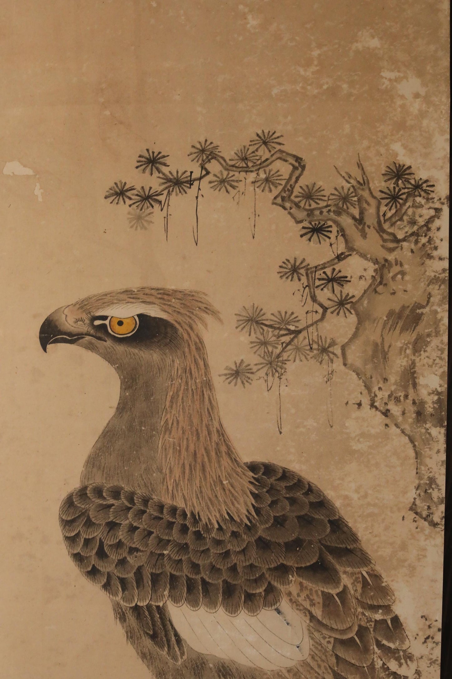 a detailed illustration of a bird, possibly a hawk or an eagle, with intricate patterns and textures.