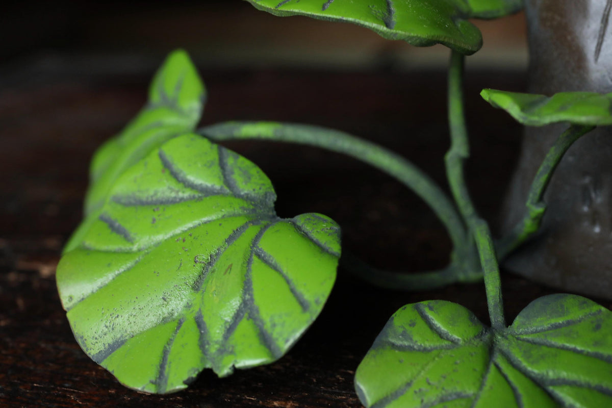 A close-up view of a green leaf with black lines, resting on a dark surface.