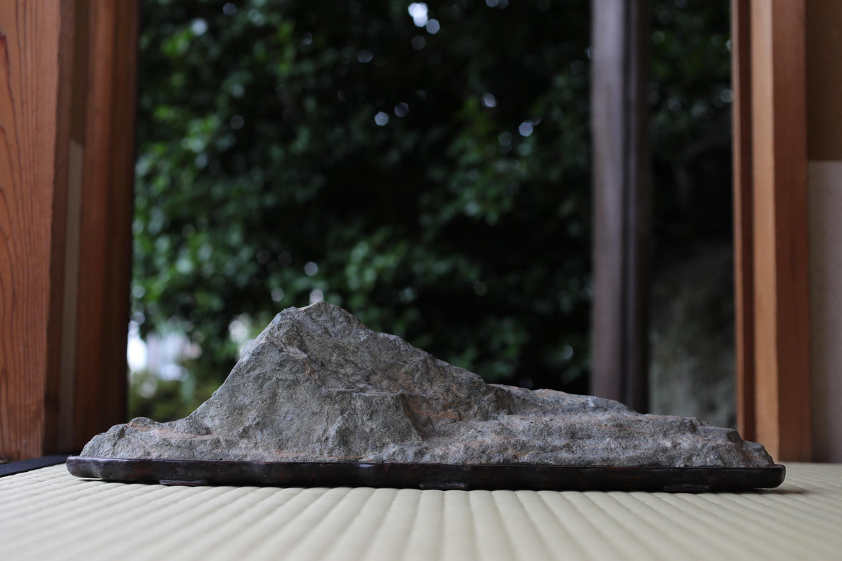 A large, gray rock sits on a wooden surface, with a blurred background of trees and foliage.