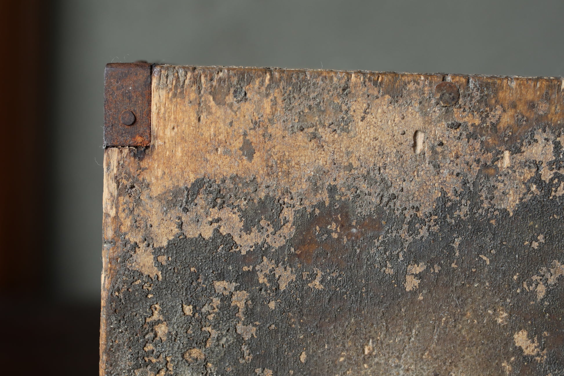 a close-up view of a weathered, peeling surface with a rusty metal fastener.