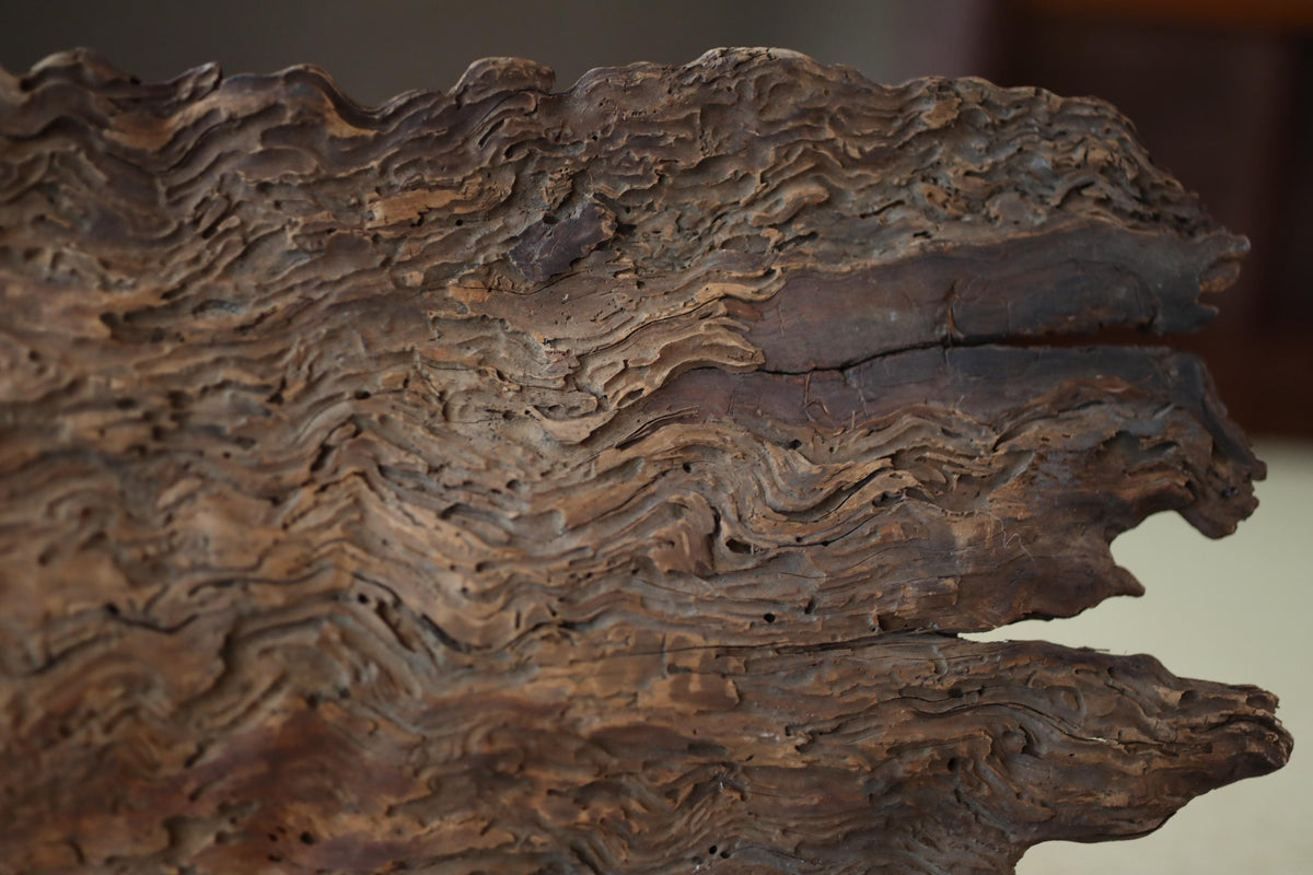 a close-up view of a weathered, textured surface, possibly a piece of driftwood or a wooden plaque. The surface has a rough, organic texture with visible cracks and crevices, giving it a natural, aged appearance.