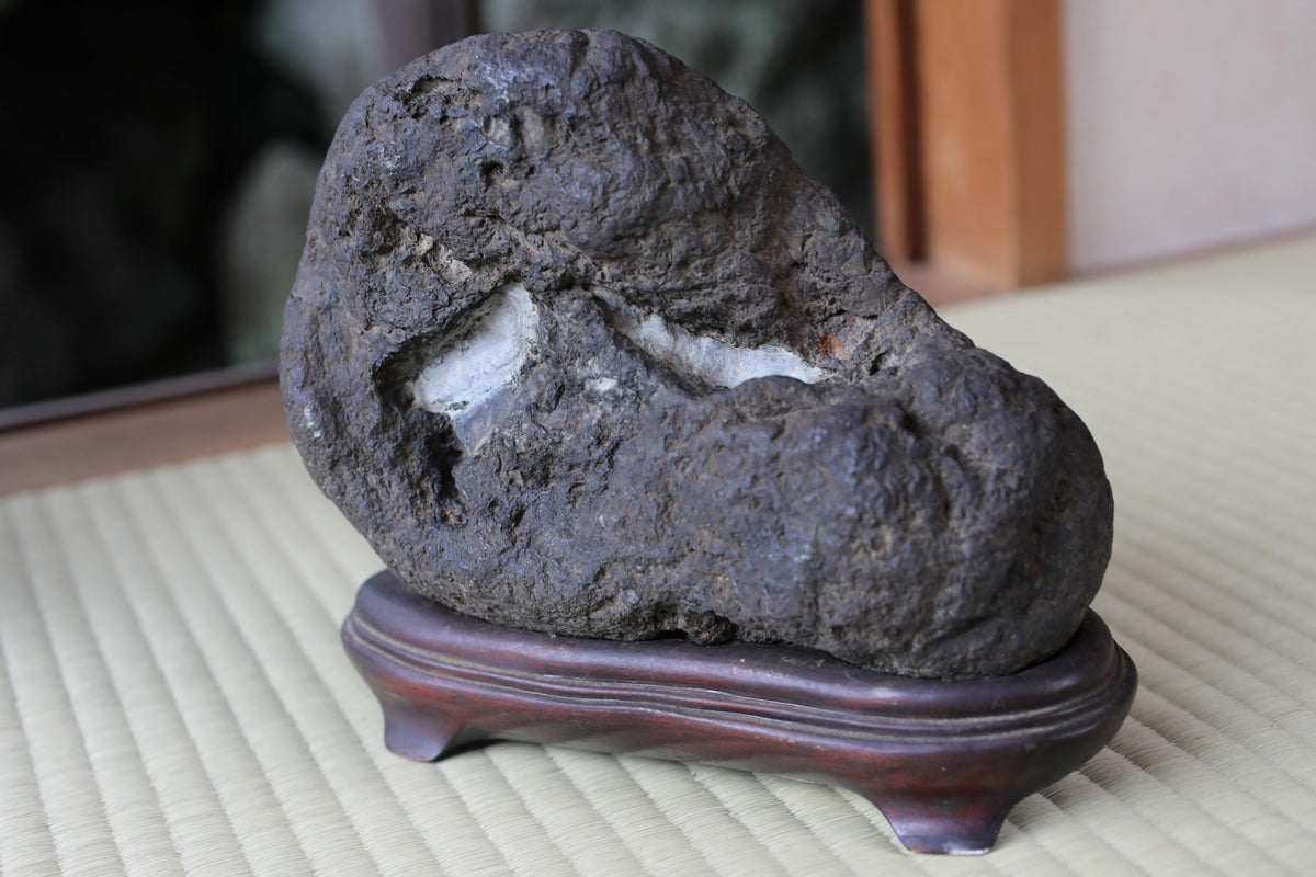 A dark gray rock with a white speck is displayed on a wooden stand, placed on a woven mat.
