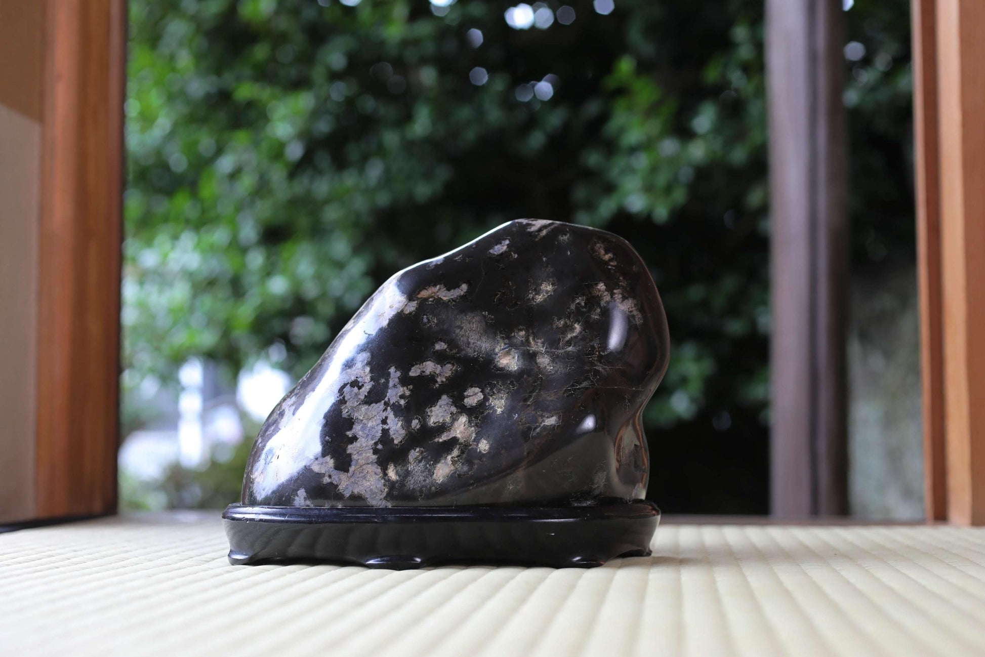A black rock with a speckled surface sits on a black stand in a natural setting, with a blurred background of trees and foliage.
