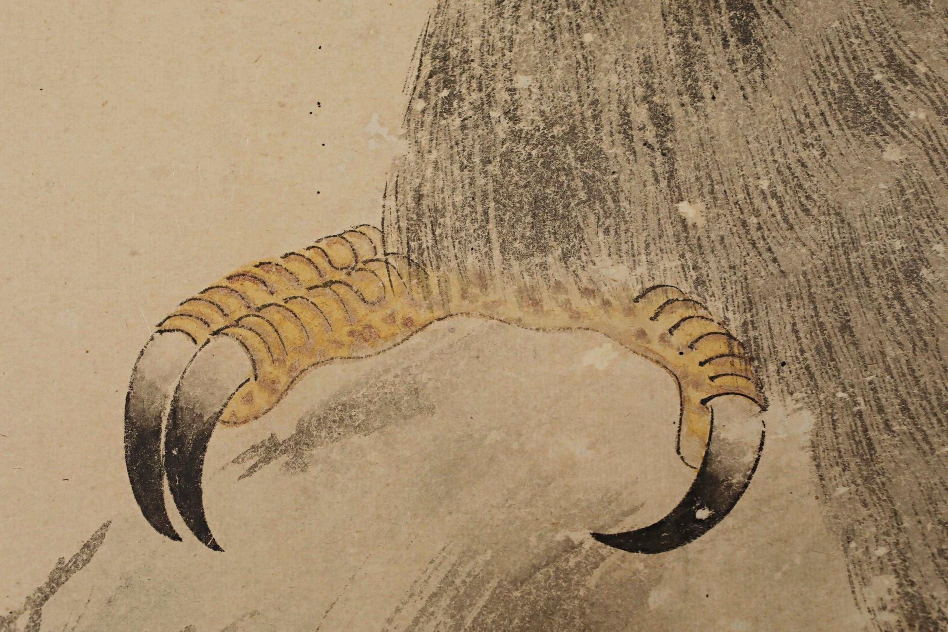 a close-up view of a bird's claw, with intricate details and textures.