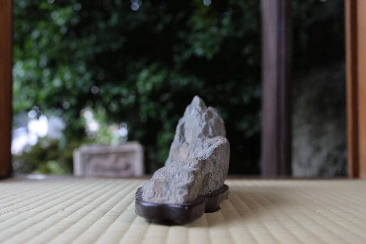 A close-up image of a rock on a mat, with a blurred background of greenery.