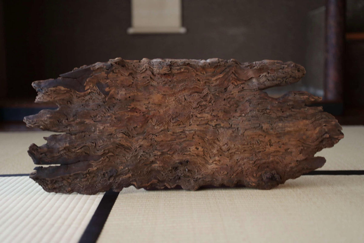 a large, irregularly shaped piece of wood with a rough, textured surface, sitting on a white surface with black lines.