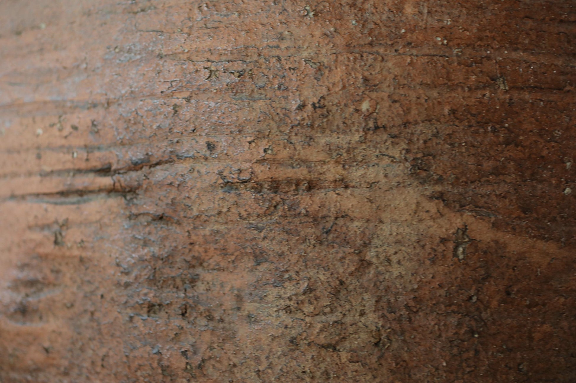 a close-up view of a textured surface, possibly a piece of pottery or a wooden object. The surface appears to be weathered and has a rough, uneven texture.
