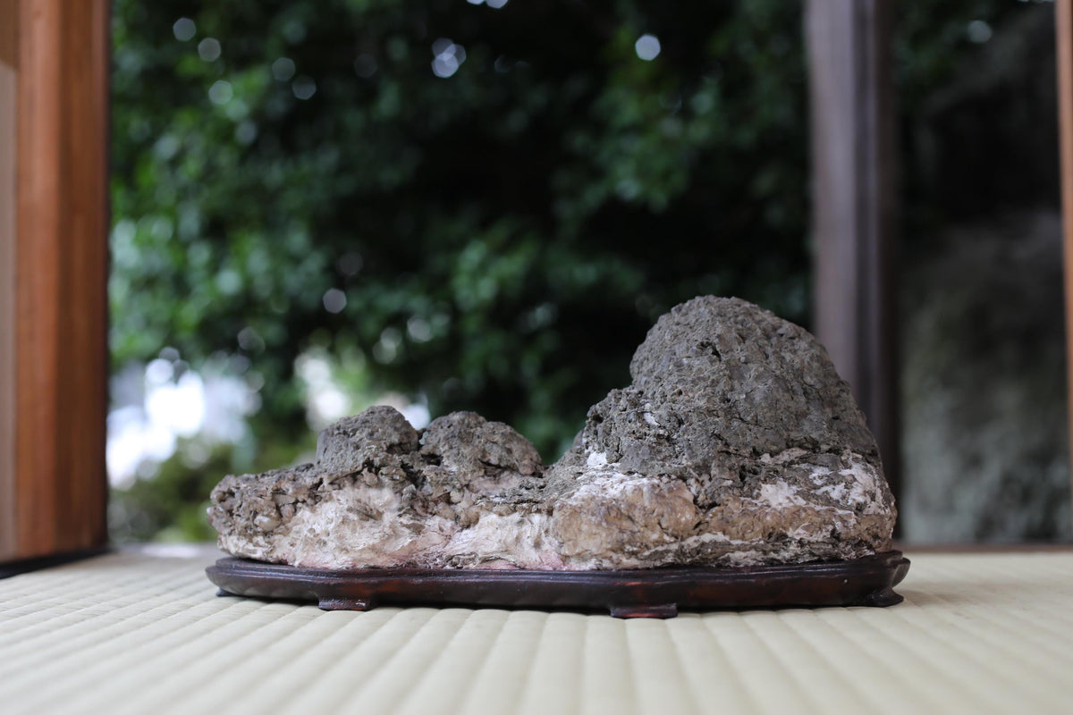 A rock formation sits on a wooden base, surrounded by a blurred natural background.