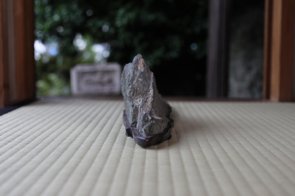 A close-up image of a rock or stone on a white surface, with a blurred background that appears to be a natural outdoor setting.
