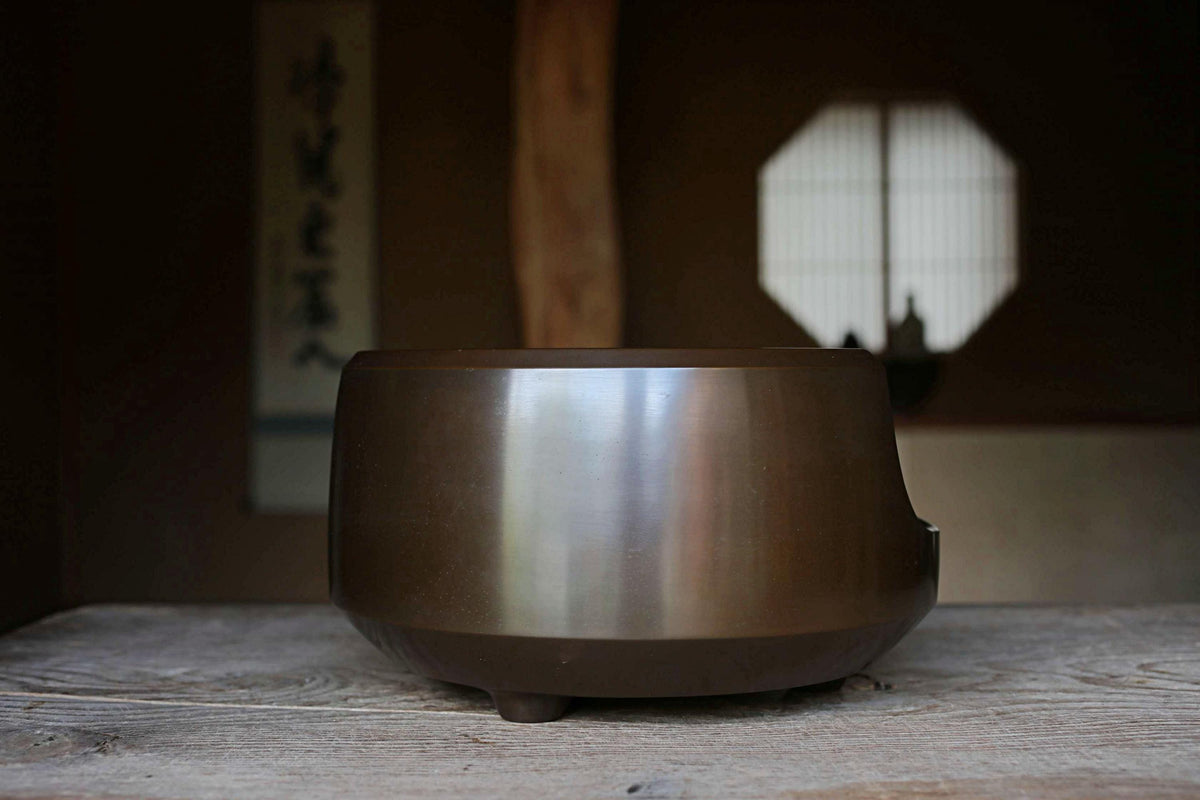 A shiny metal bowl sits on a wooden surface, with a window and a wooden beam visible in the background.