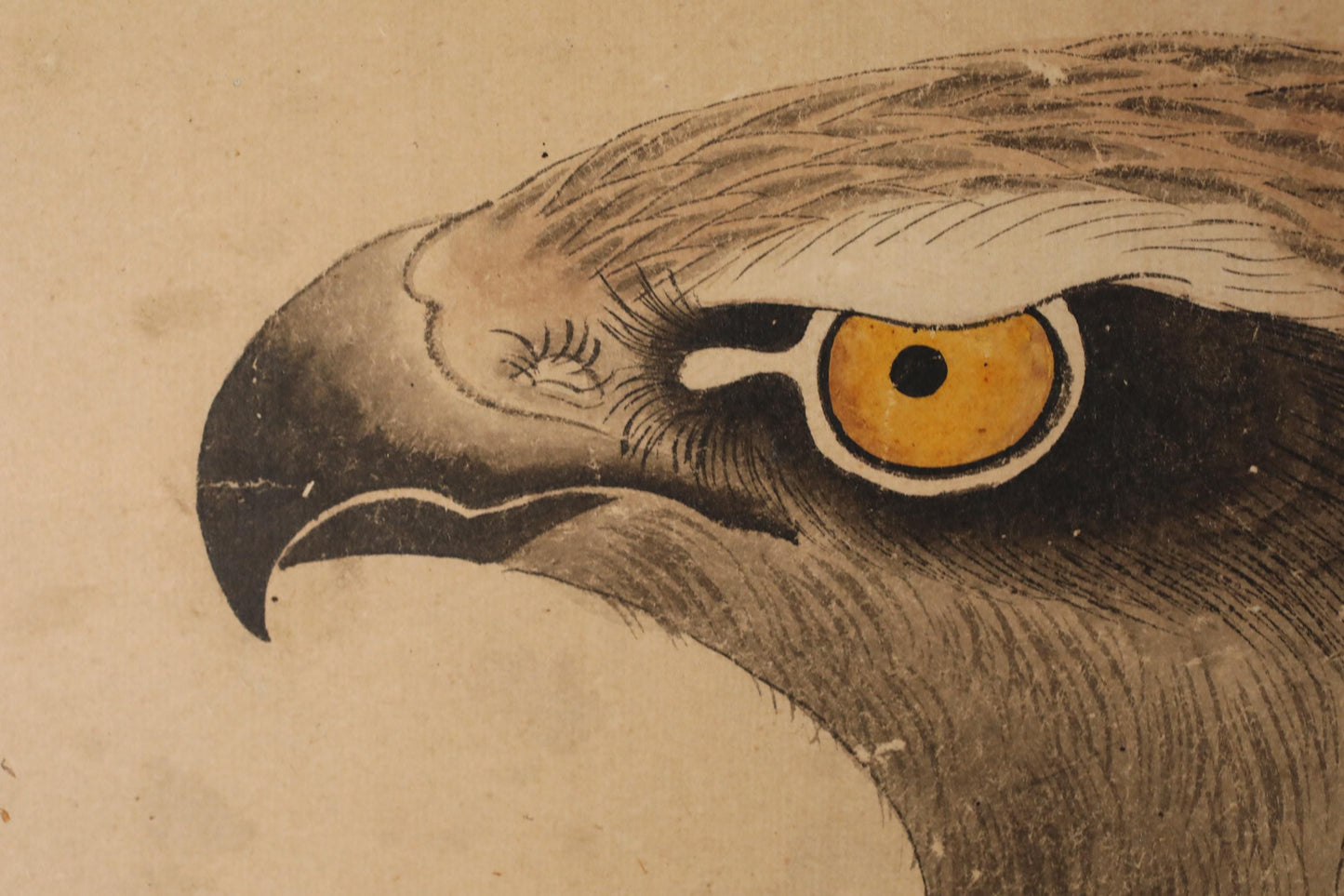 A close-up of a detailed drawing of a bird's head, likely a hawk or falcon, with a striking yellow eye and intricate feather patterns.