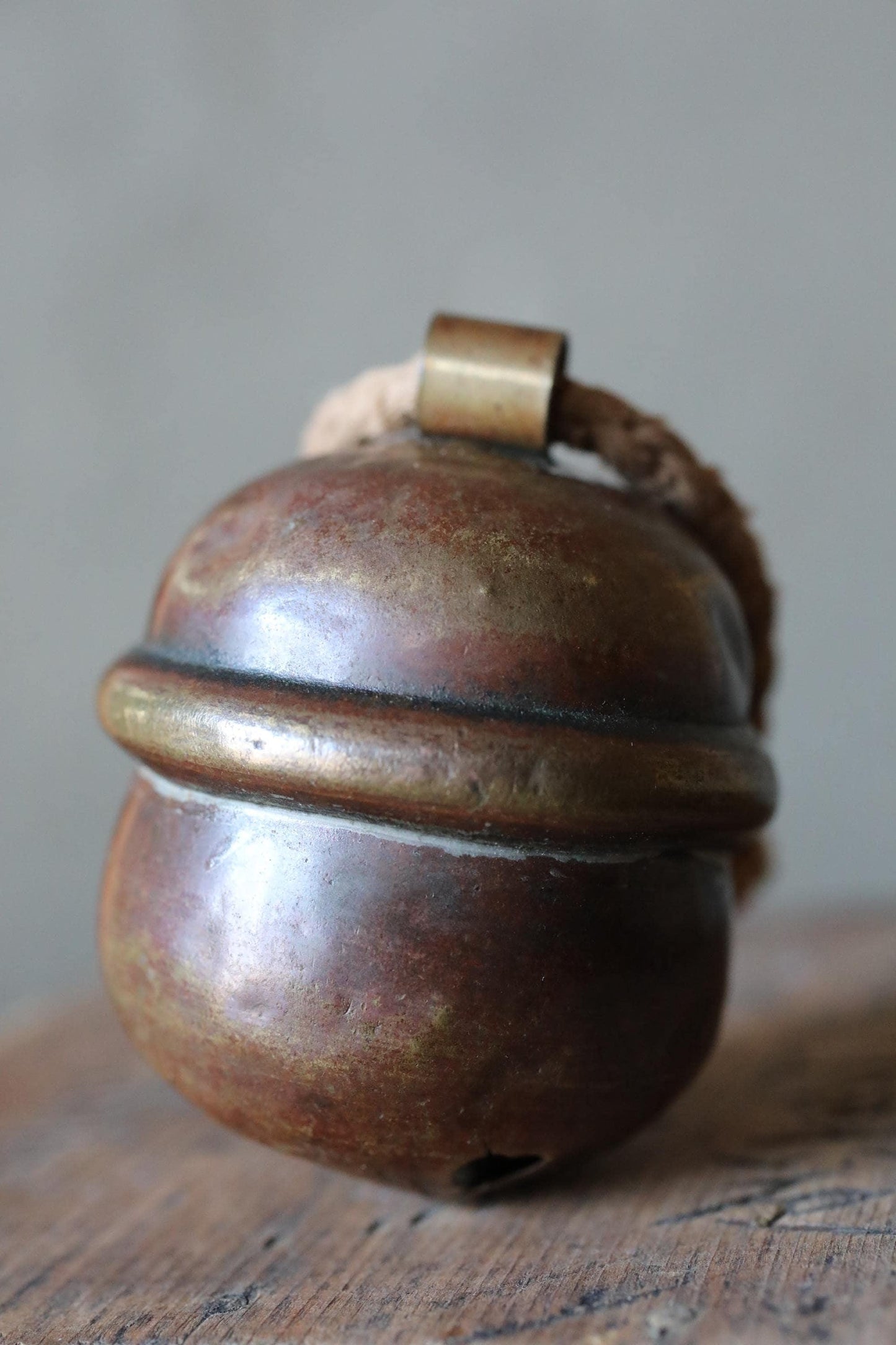 A close-up image of a round, brass-colored bell with a rope hanging from the top.