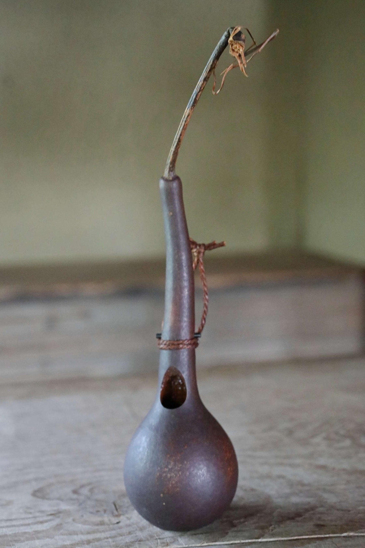 Japanese Gourd Vase - Antique Natural Gourd Bottle with Wooden Box Included