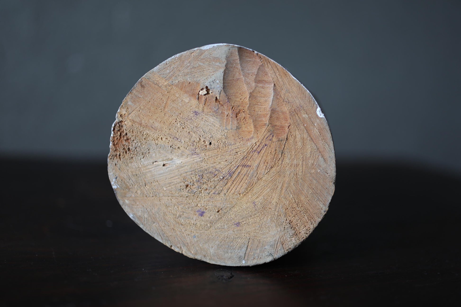 A close-up view of a wooden log or tree stump, with visible cracks and knots in the wood.