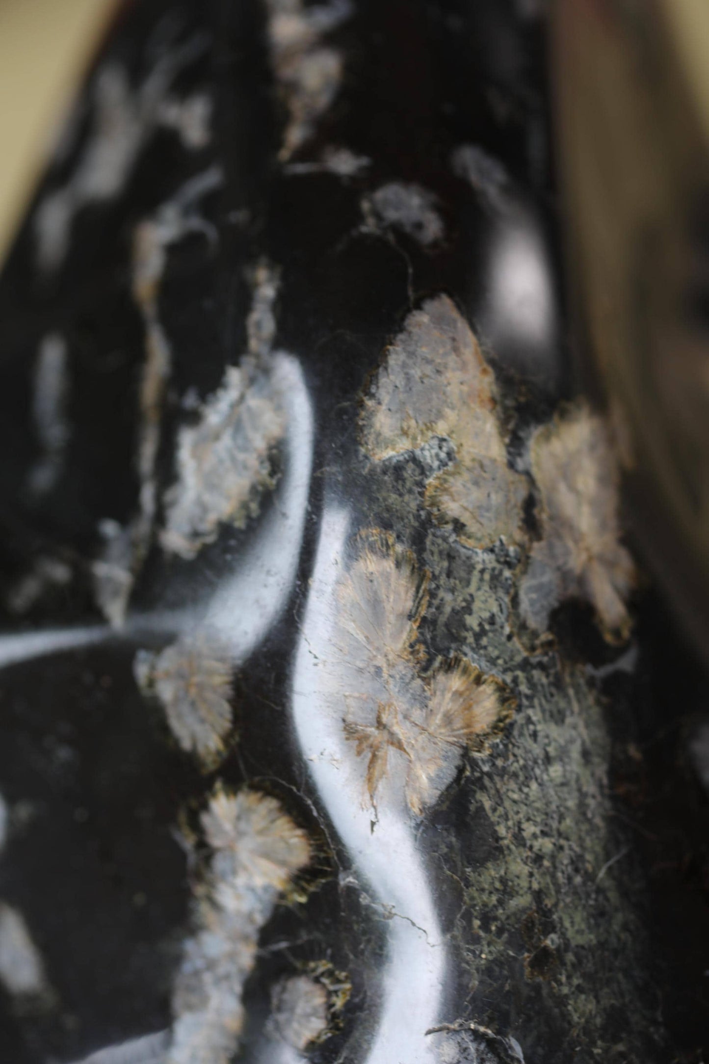 a close-up view of a black and white speckled surface, possibly a stone or a piece of glass. The surface has a textured and speckled appearance, with small white and black speckles scattered across the dark background.