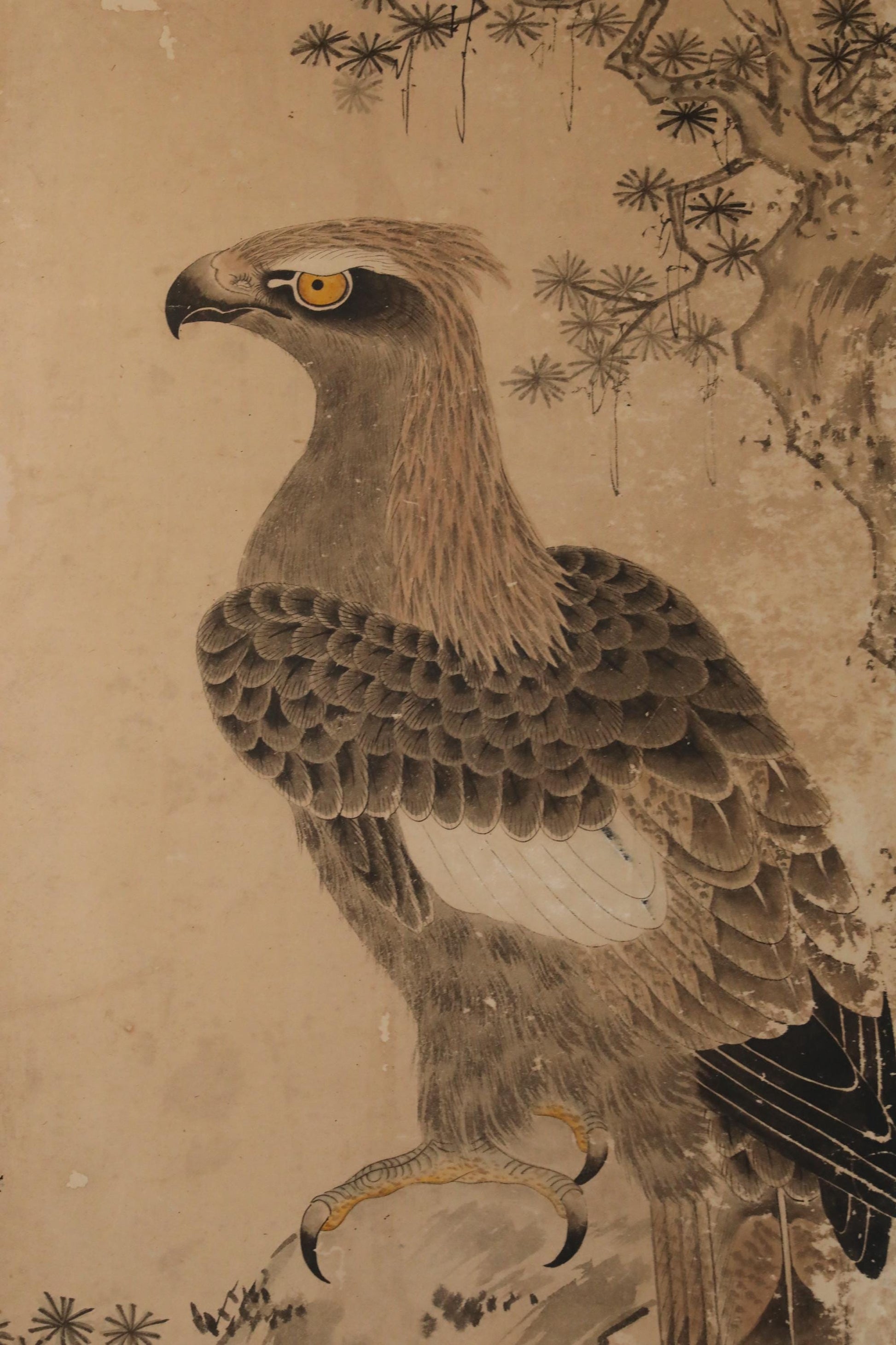 a detailed illustration of a bird, possibly a hawk or an eagle, with intricate feather patterns and a focused expression.