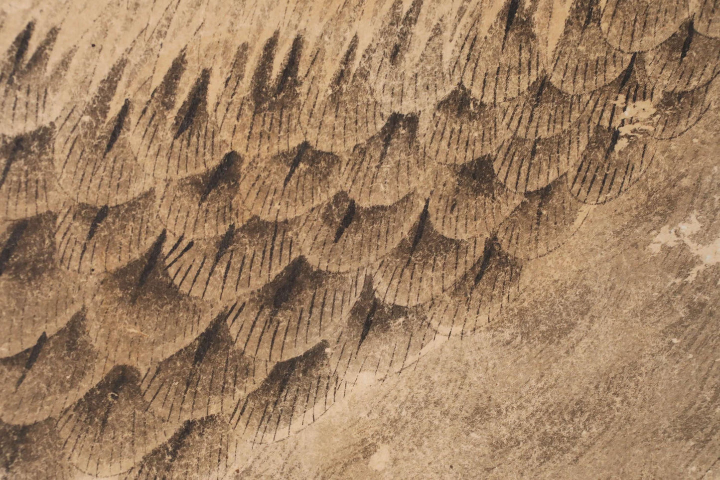 a close-up view of a textured surface with a repeating pattern of lines and shapes, resembling the scales of a fish or the feathers of a bird.
