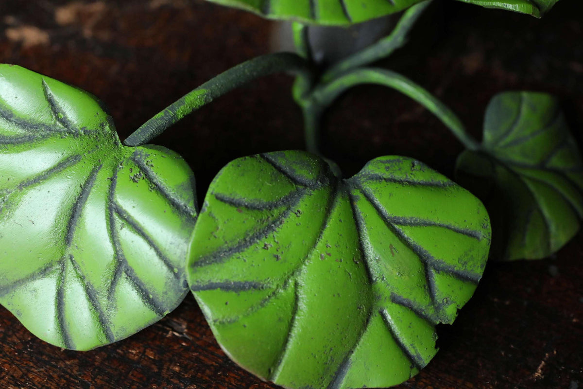 A close-up view of green leaves with black lines, arranged on a dark surface.