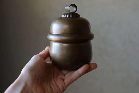 A hand holding a shiny, round metal object with a decorative top.