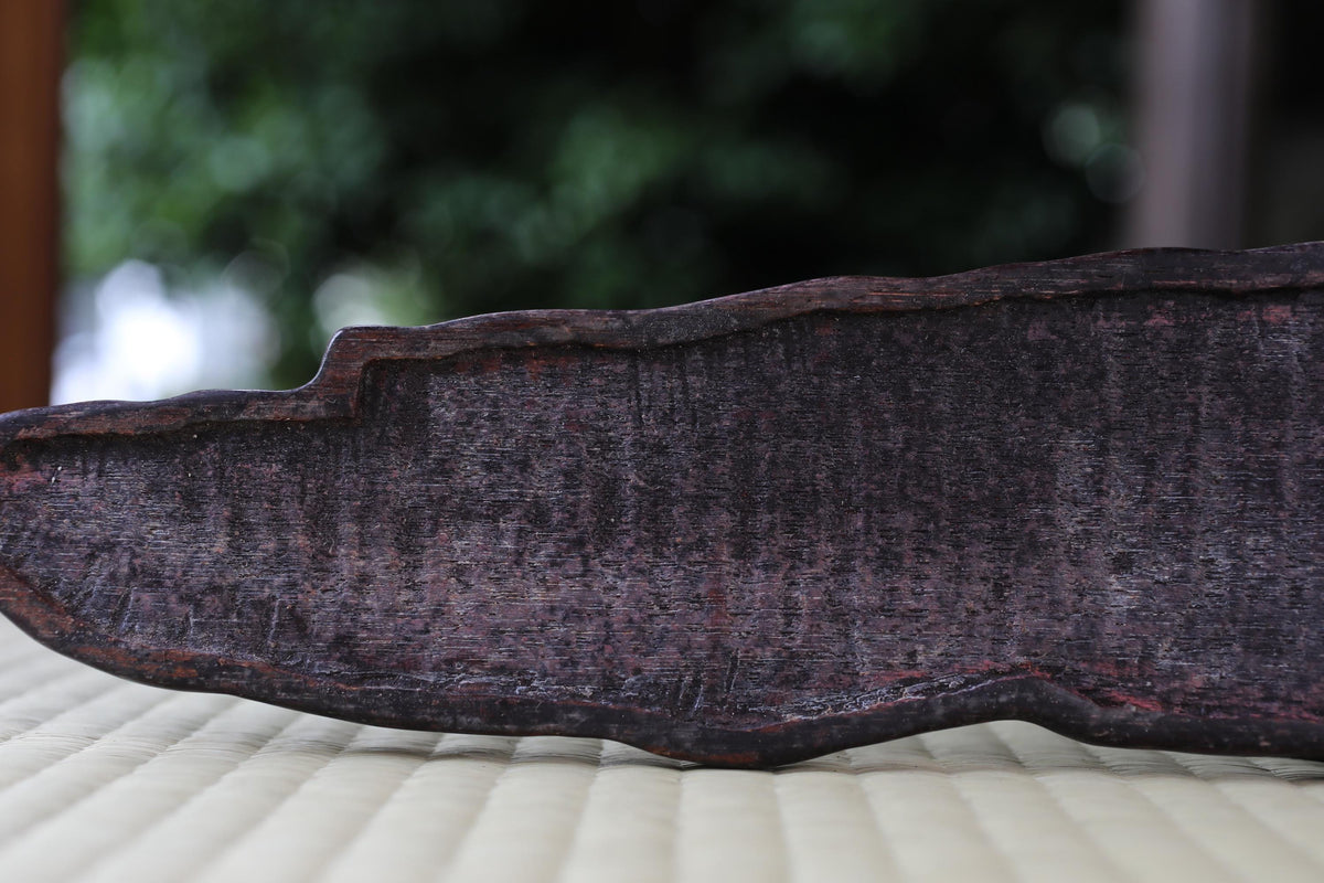 A close-up image of a dark, textured surface, possibly a piece of wood or metal, with a blurred green background.