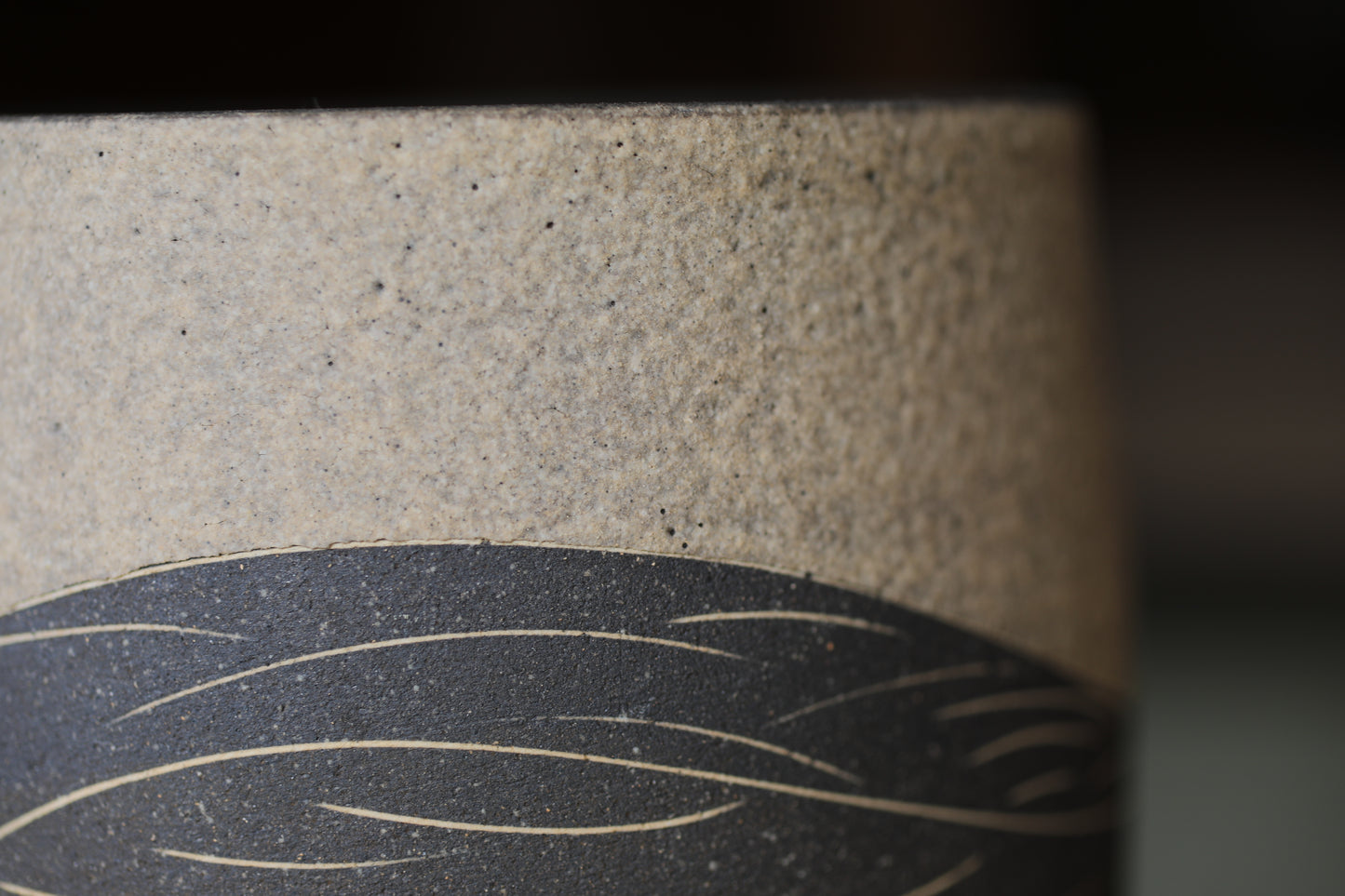 A close-up image of a ceramic or porcelain object with a textured surface, featuring a black and white design or pattern.