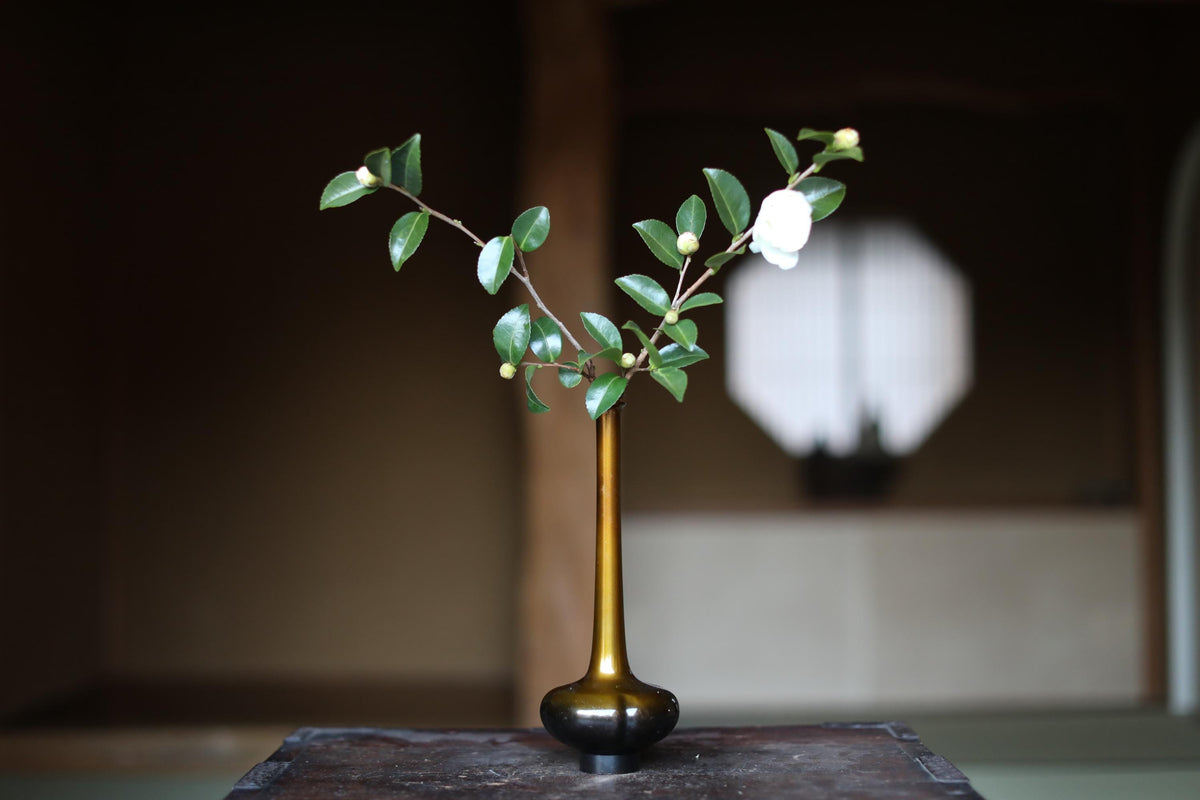 A small vase with a white flower and green leaves sits on a wooden surface, with a blurred background suggesting an indoor setting.