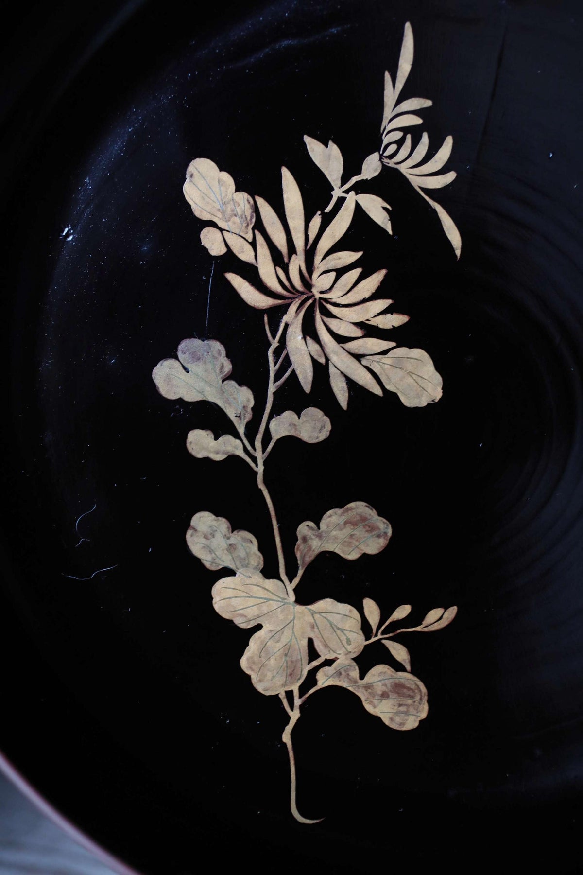 a close-up view of a decorative plate with a floral design on a dark background.