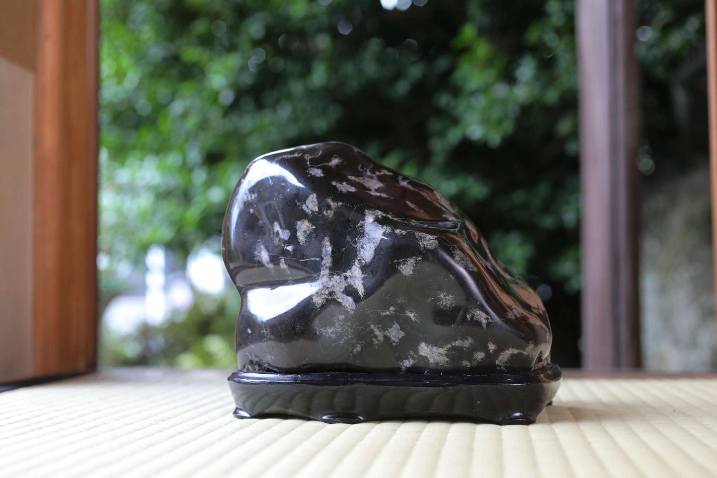 A black, speckled rock sits on a wooden surface, with a blurred green background.
