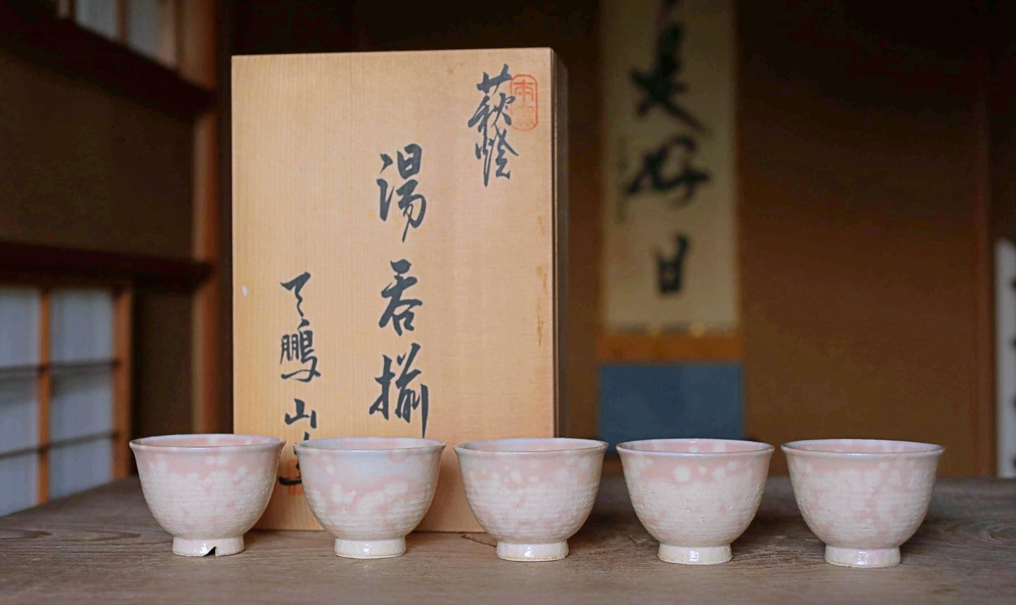 Vintage Hagi Ware Tea Cups - Set of Five Handmade Ceramic Yunomi Cups with Wooden Box