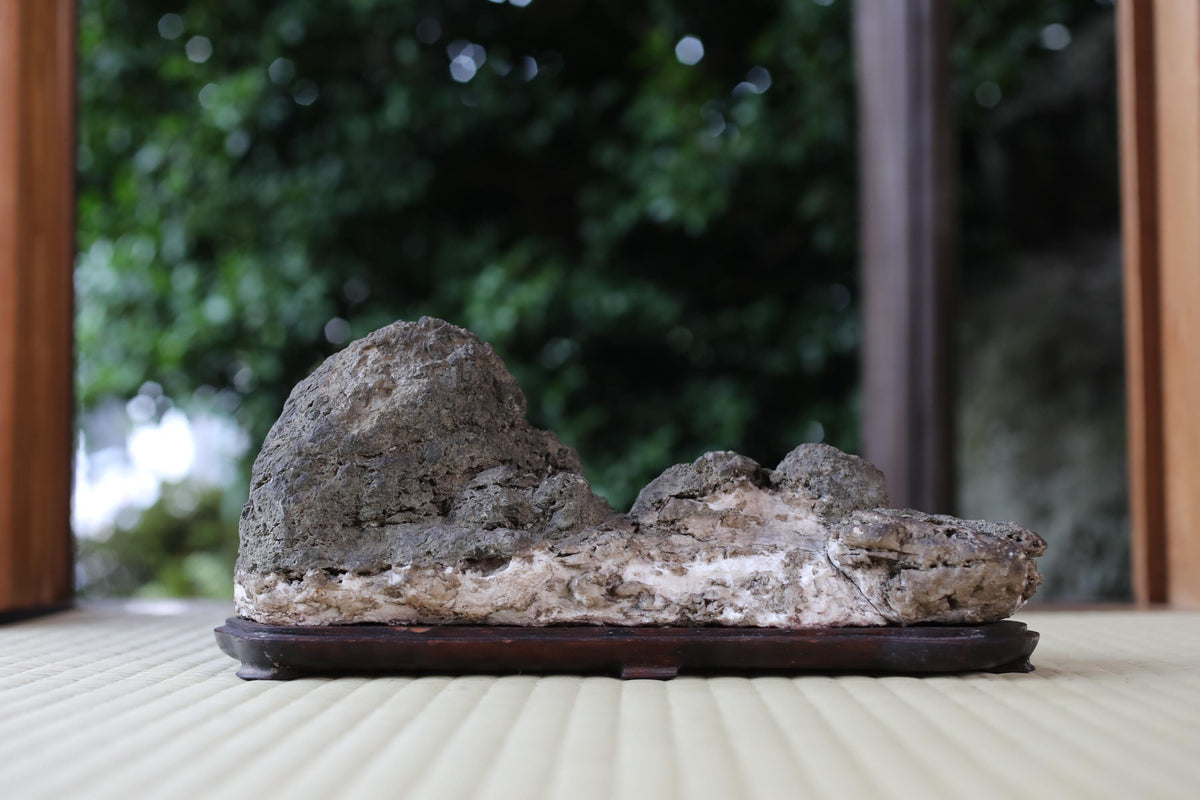 A large, gray rock sits on a wooden base, placed on a white surface.