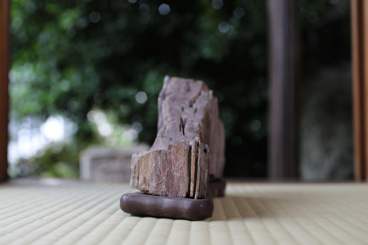 A close-up image of a rock formation on a wooden base, with a blurred natural background.