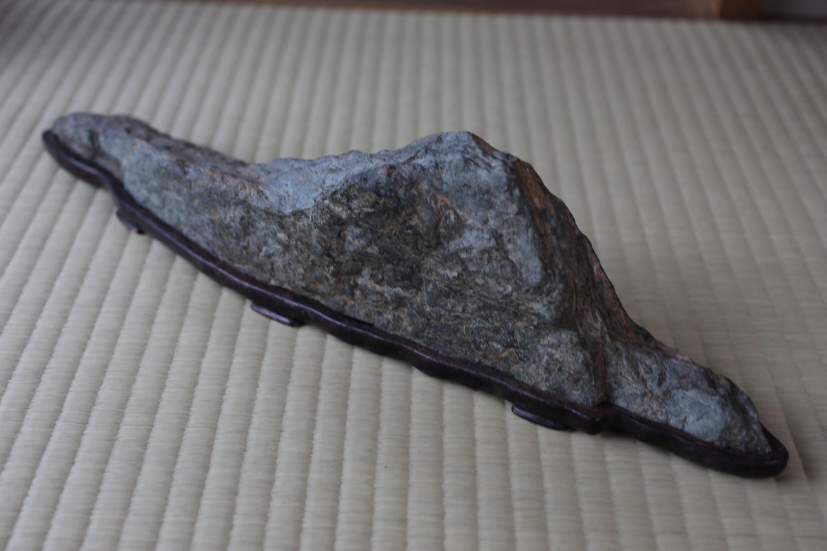 a large, gray rock with a dark border, sitting on a textured surface.