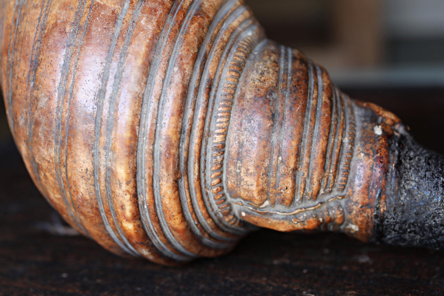 Japanese Conch Shell Horn – Antique Horagai Trumpet With Handcrafted Brass Mouthpiece