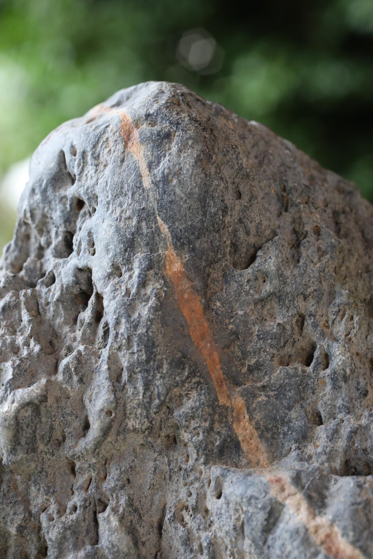 a close-up view of a rock with a distinct orange stripe running down its center.