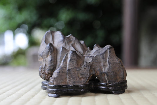 A close-up image of a large, irregularly shaped rock or stone, possibly a piece of driftwood or a natural formation, placed on a wooden stand or base.
