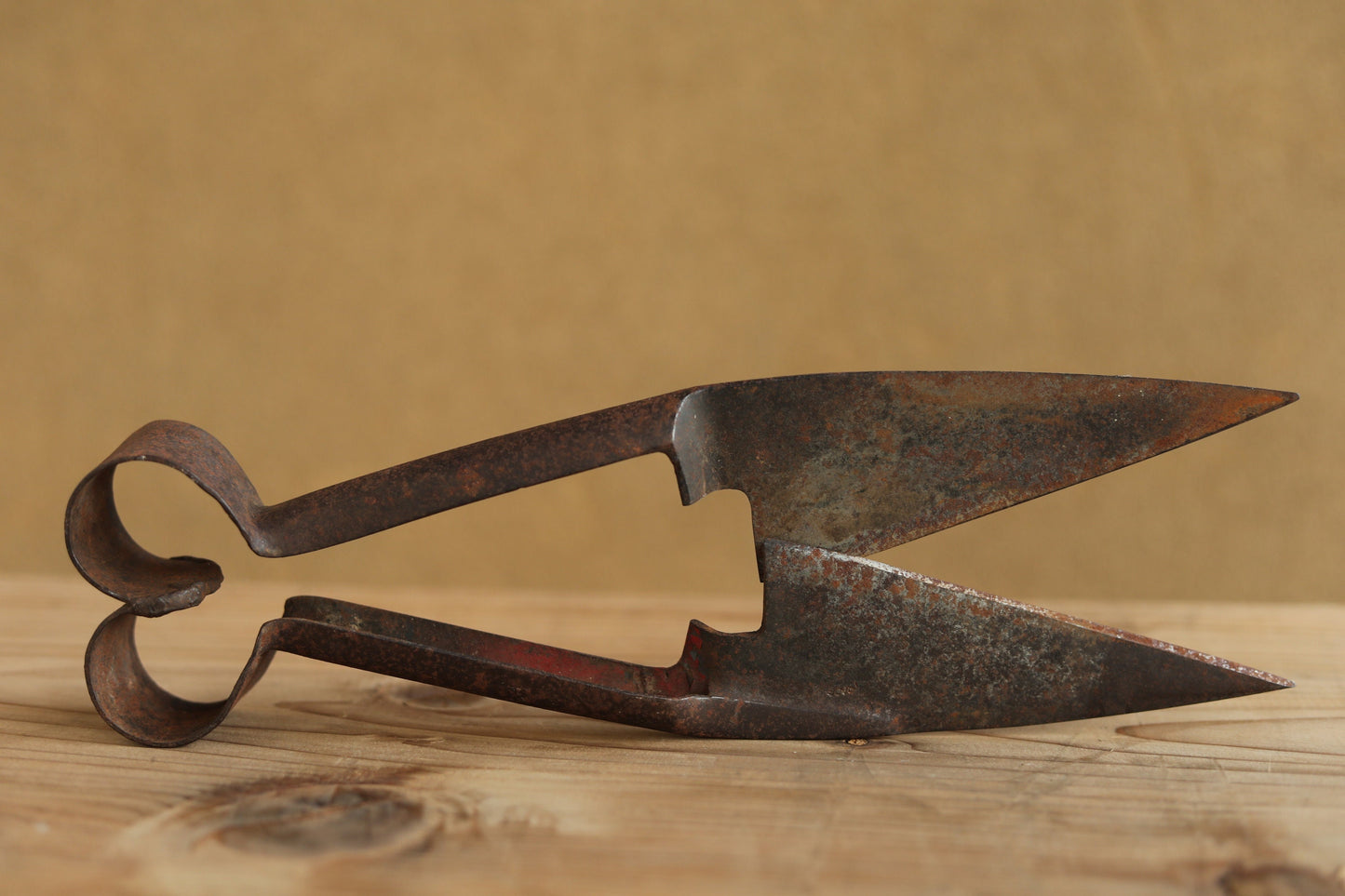 Japanese vintage pair of big scissors for wool shaving, Hokkaido new land pioneers tool in the beginning of 20th with Kanji, H11.8in