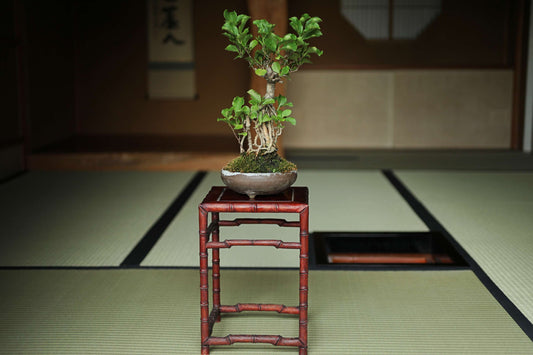 Japanese furniture Wooden Decoration Stand KARAKI bamboo designed pedestal for bonsai, vase, censer, suiseki H12in/30.5cm