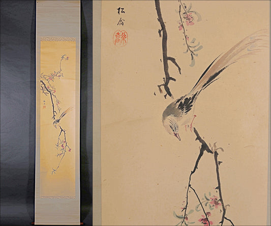 Japanese vintage hanging scroll of water color painting, little bird and Flowering branches, KAKEJIKU 1970s H78.7in/H200cm