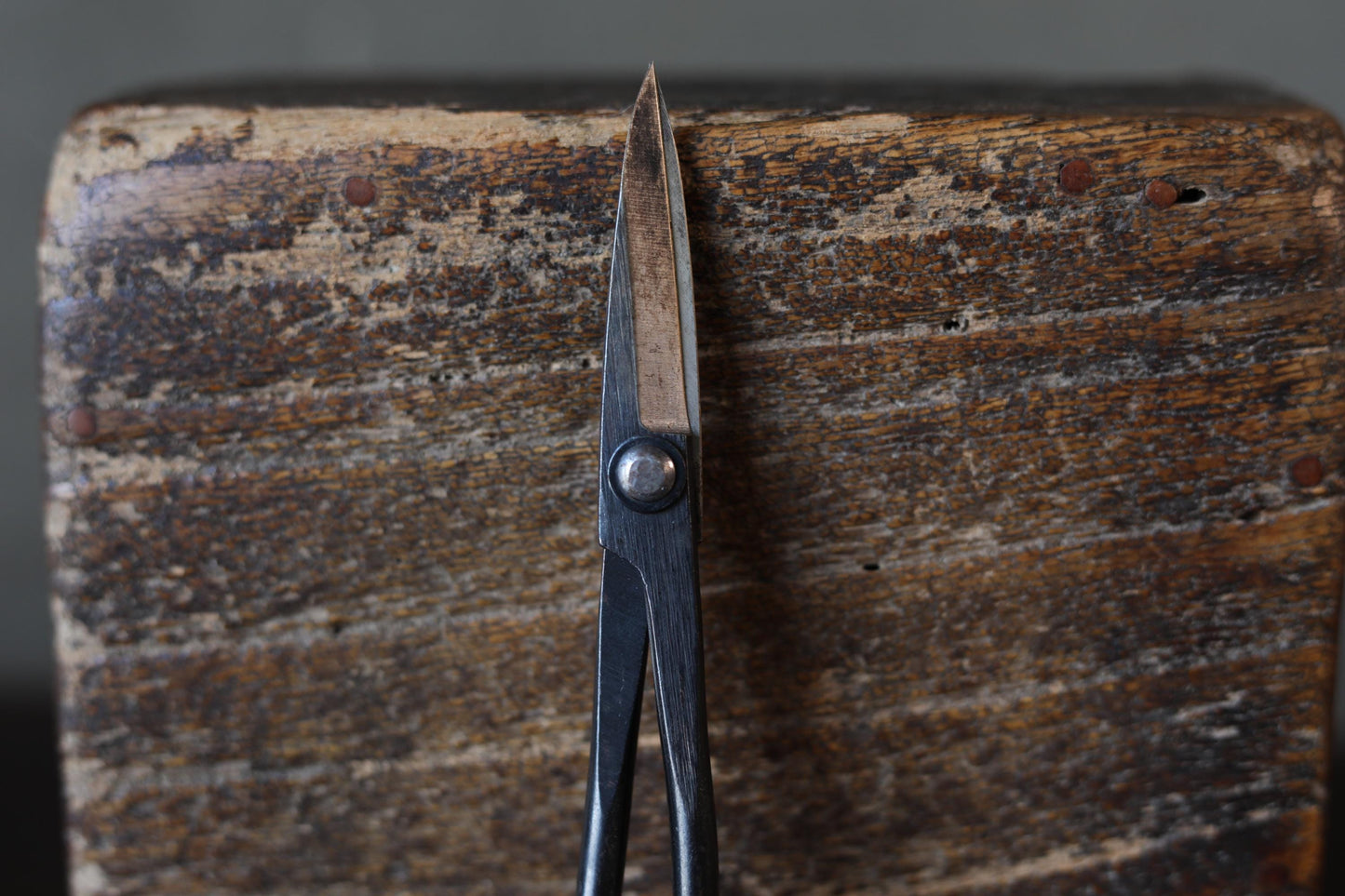 Japanese BONSAI shears "Satsuki hasami" IKEBANA tool, Japanese garden, high grade cutlery, cutting tools H7.3×2.6×0.4in/18.5x6.7x1cm