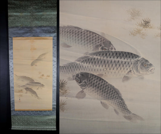 Japanese antique watercolor painting scroll fine painted carps KOI, KAKEJIKU with signature H67.7x24in / 172x61cm