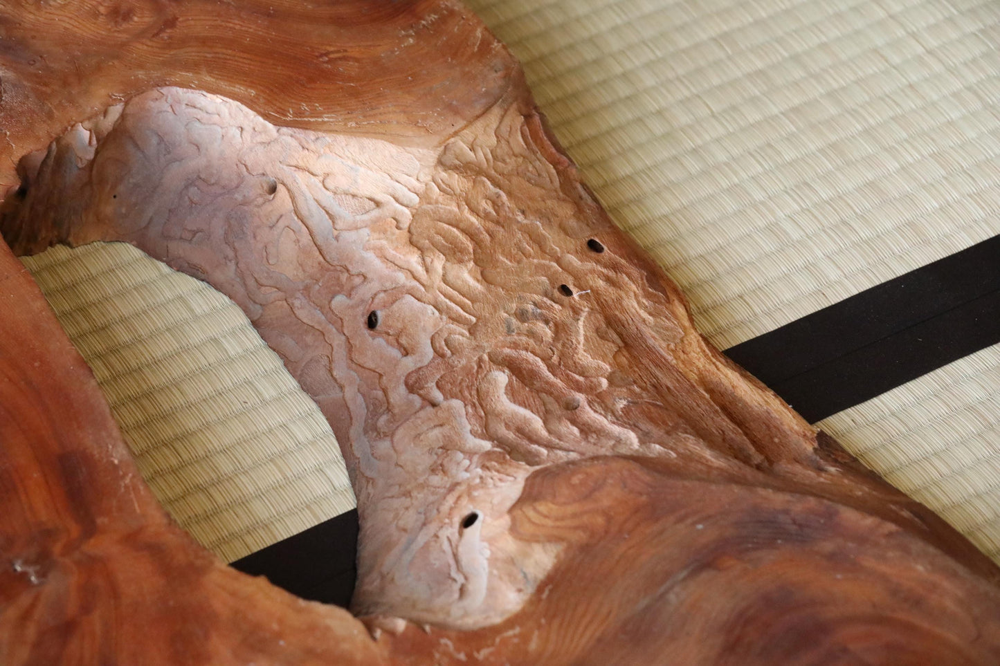 BIG! Japanese old wood "Keyaki" zelkova tree,　large tree stump, Japanese furniture, beautiful grain art, wood slab Burl, H36.6×W47.2in