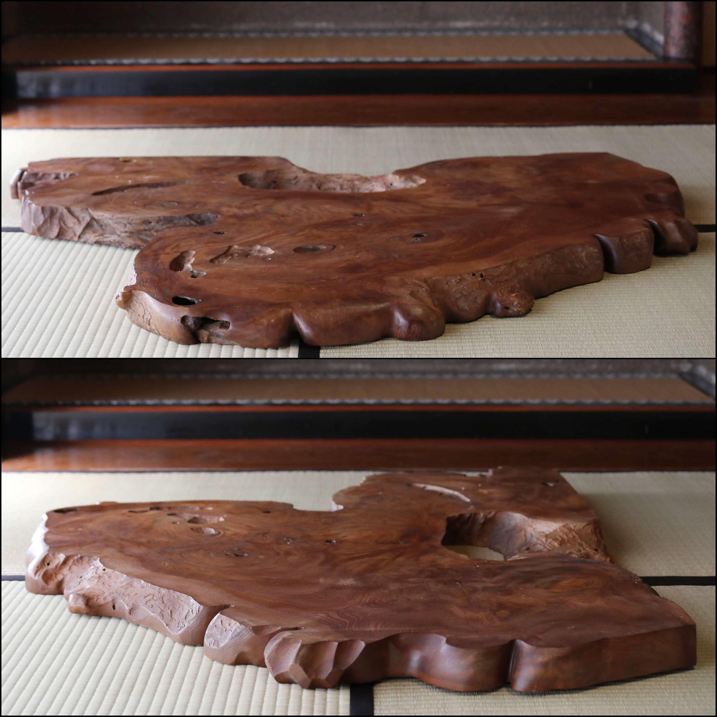 BIG! Japanese old wood "Keyaki" zelkova tree,　large tree stump, Japanese furniture, beautiful grain art, wood slab Burl, H36.6×W47.2in