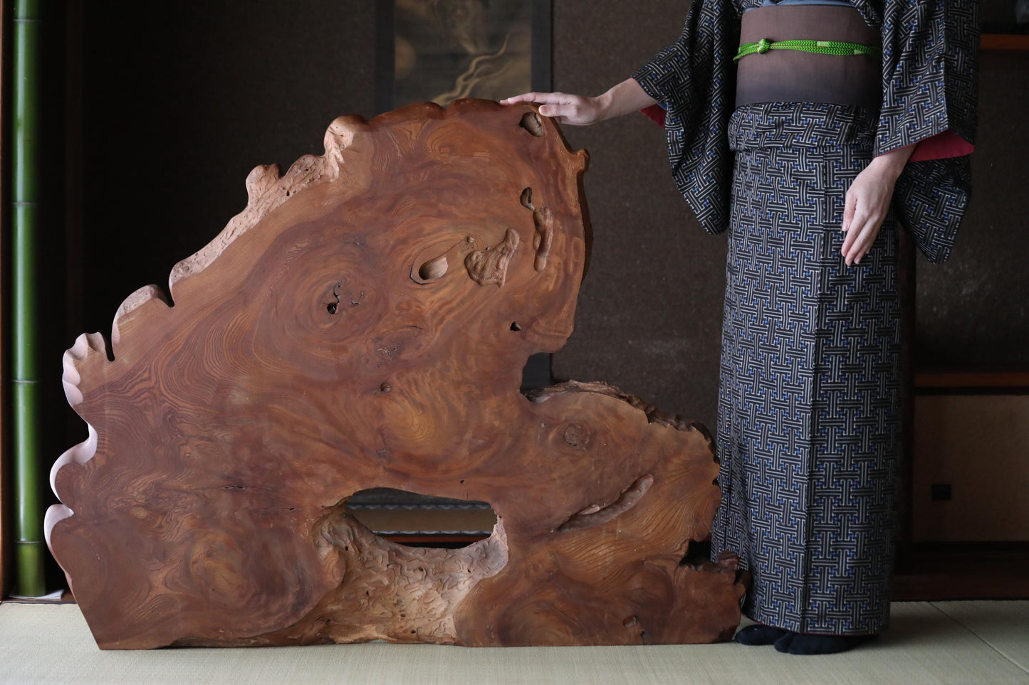 BIG! Japanese old wood "Keyaki" zelkova tree,　large tree stump, Japanese furniture, beautiful grain art, wood slab Burl, H36.6×W47.2in