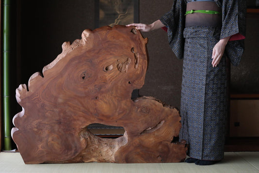 BIG! Japanese old wood "Keyaki" zelkova tree,　large tree stump, Japanese furniture, beautiful grain art, wood slab Burl, H36.6×W47.2in