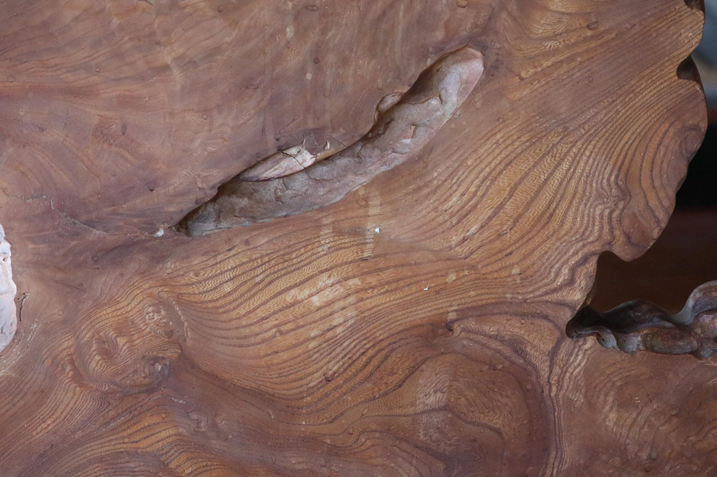 BIG! Japanese old wood "Keyaki" zelkova tree,　large tree stump, Japanese furniture, beautiful grain art, wood slab Burl, H36.6×W47.2in
