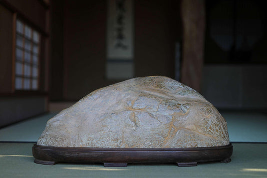 BIG! Japanese old "SUISEKI" scholars stone, indoor viewing stone, animism, with a hand carved pedestal Power stone H5.9xW21.3in/24x54cm