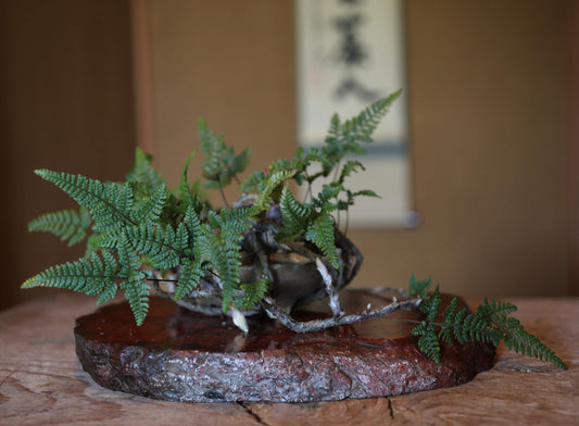 Japanese vintage sliced red stone pedestal, Sado Red Stone, Display Stand pedestal /bonsai decoration stand H1.3×W13×D10.6in/3.2×33×27cm